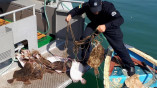 У одесских берегов задержан браконьер с уловам калкана
