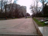 В парке Шевченко оцеплена Аллея Славы