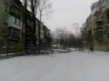 В Одессе рухнуло дерево (фото)