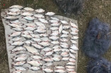 На озере Ялпуг был задержан очередной браконьер