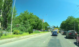 В Одессе на дорогу упало огромное дерево
