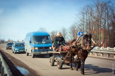 Альона і логістика