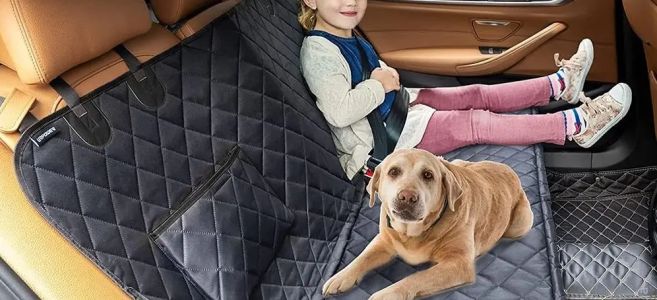 нельзя оставлять детей и животных в автомобиле