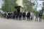 В Одесской области пограничники задержали сразу 11 потенциальных призывников