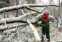 В Одессе в результате стихии повалено предварительно 267 деревьев и 88 веток