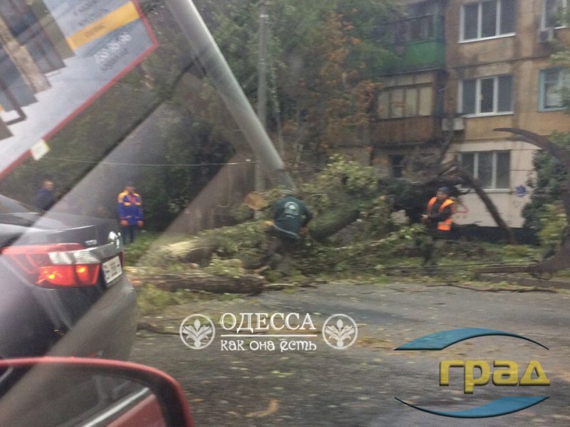 На улице Краснова упал билборд