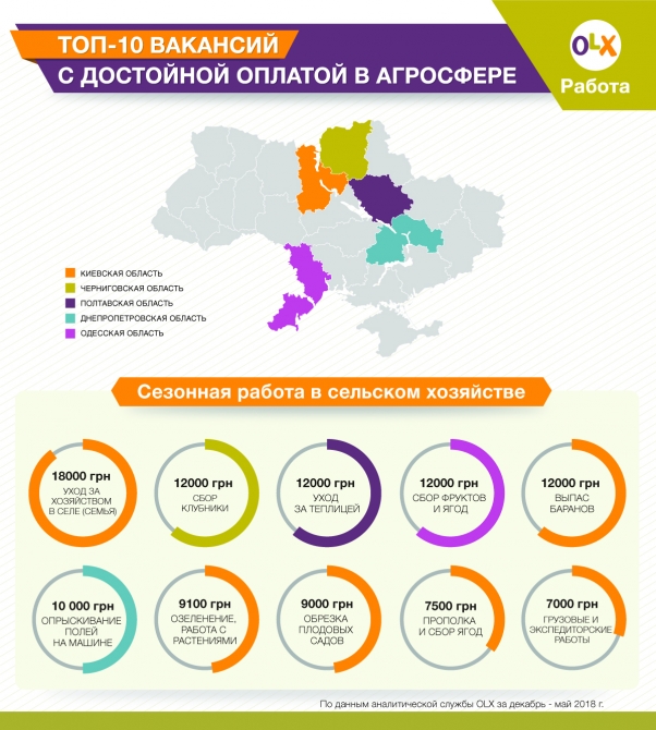 Топ десяти временных работ