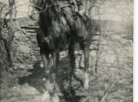 Леонид Волынский ФОТО-4