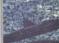 Григорий Карев