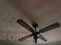 В квартире взорвалась граната фото-7