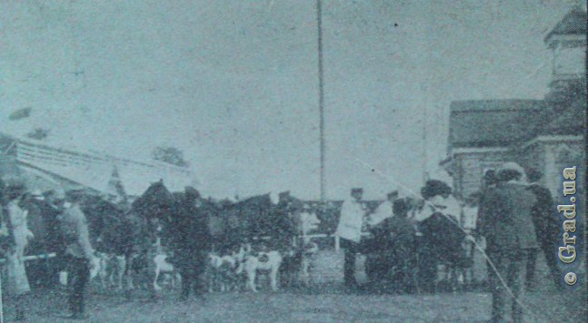 Выставка собак Одесса 1910