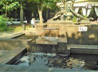 Вандалы залили фонтан «Петя и Гаврик» мыльным раствором Фото - 1