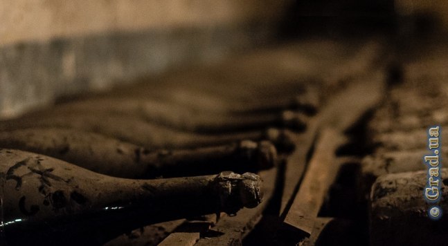 Шампанское