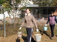 Одесситы благоустроили площадку на Крымском бульваре – фото 6