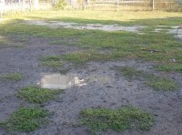 Вот как выглядела площака раньше– фото 1