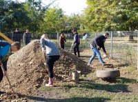 Одесситы благоустроили площадку на Крымском бульваре – фото 4