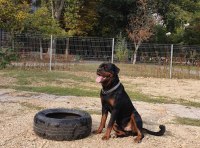 Одесситы благоустроили площадку на Крымском бульваре – фото 17