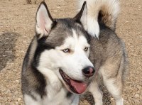 Одесситы благоустроили площадку на Крымском бульваре – фото 18