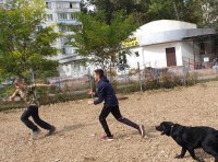 Одесситы благоустроили площадку на Крымском бульваре – фото 19