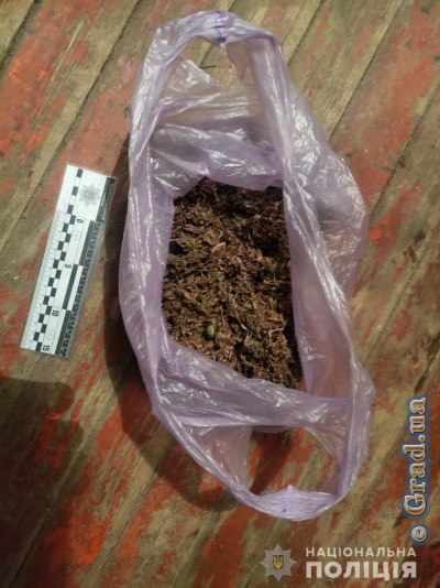 Три года тюрьмы за пакет конопли грозит 21-летнему жителю области