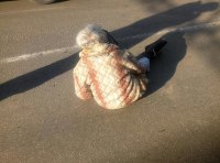 В ДТП на Атамана Головатого сбили пожилую женщину фото 2