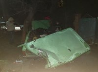 Форд разлетелся при ударе в дерево: ночное ДТП в Измаиле