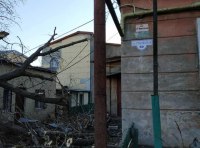 Горзелентрест оперативно ликвидировал упавшее старое дерево