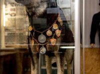 Народный музей Одесской полиции пополнился новыми экспонатами фото 1