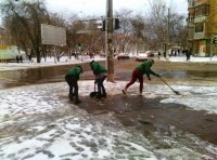 В Одессе шквальный ветер повалил полсотни деревьев  фото 9