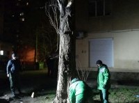 В Одессе шквальный ветер повалил полсотни деревьев  фото 12