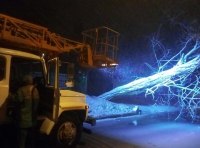 В Одессе шквальный ветер повалил полсотни деревьев  фото 4