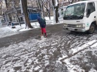 В Одессе шквальный ветер повалил полсотни деревьев  фото 5