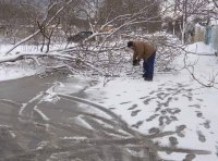 В Одессе шквальный ветер повалил полсотни деревьев  фото 6