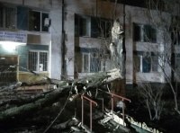 В Одессе шквальный ветер повалил полсотни деревьев  фото 11