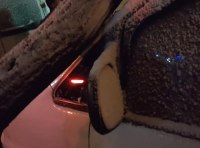 В Одессе шквальный ветер повалил полсотни деревьев  фото 3