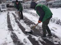 В Одессе шквальный ветер повалил полсотни деревьев  фото 7