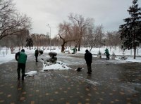 В Одессе шквальный ветер повалил полсотни деревьев  фото 8