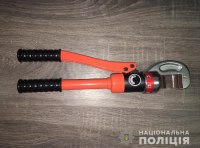 Задержаны два иностранца, которые в Одессе ограбили квартиру фото 2