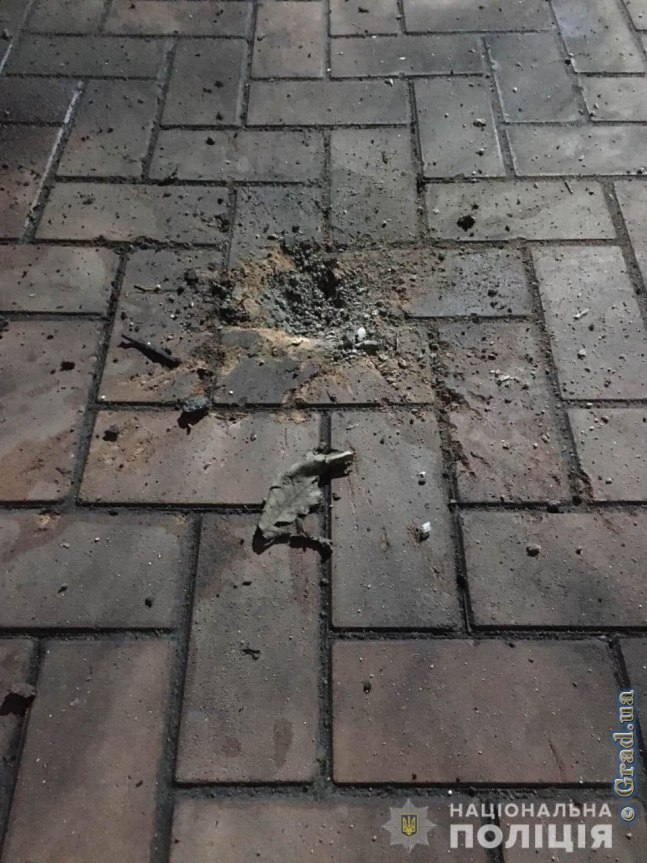 Во дворе частного дома взорвалась граната