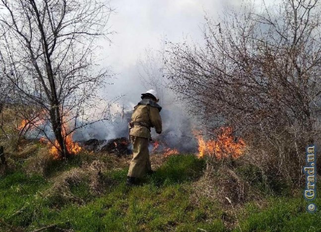 В Затоке загорелся сухостой возле базы отдыха