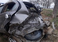 Nissan Maxima врезался в дерево на трассе Одесса – Рени