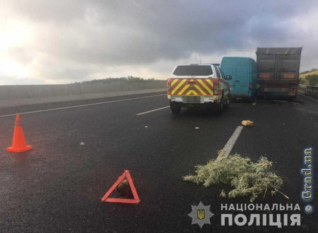Смертельное ДТП на трассе Киев – Одесса