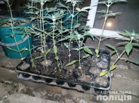 Убийство в Арцизе фото 2