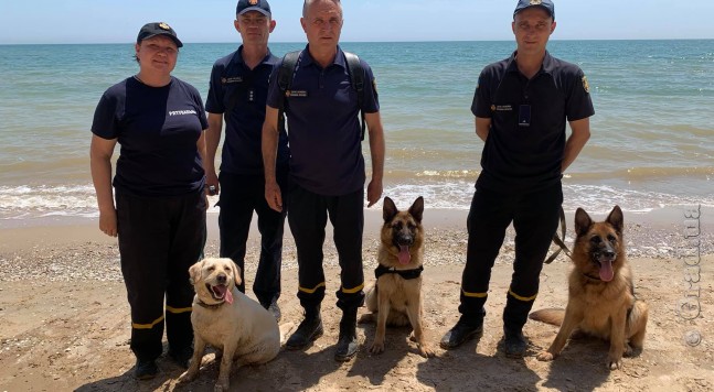 Кинологи с собаками обследовали место оползня