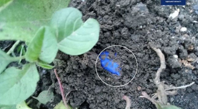 задержали наркоторговца