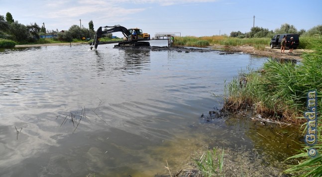 массовый мор рыбы