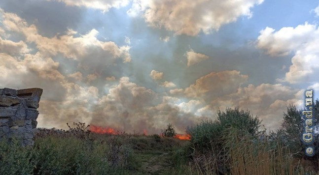 горит сухая трава