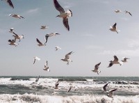 Фото Ксении Барон - 3