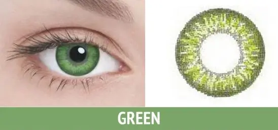 Adria Festival 2 tone