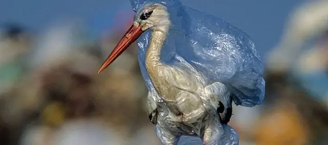 охрана окружающей среды